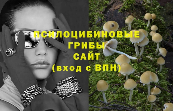 не бодяженный Аркадак