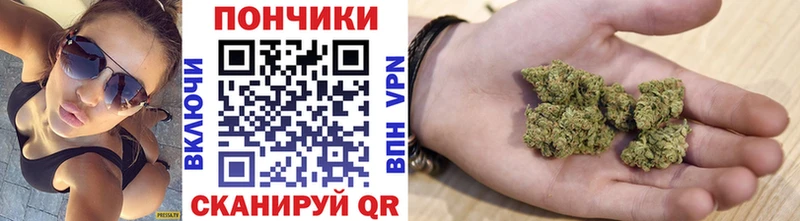 сколько стоит  Рошаль  Канабис ГИДРОПОН 